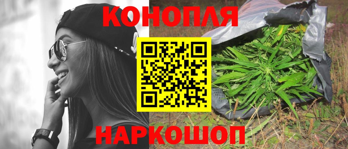 Бошки Шишки семена  Канабис планчик  Кинель  Вход с VPN 